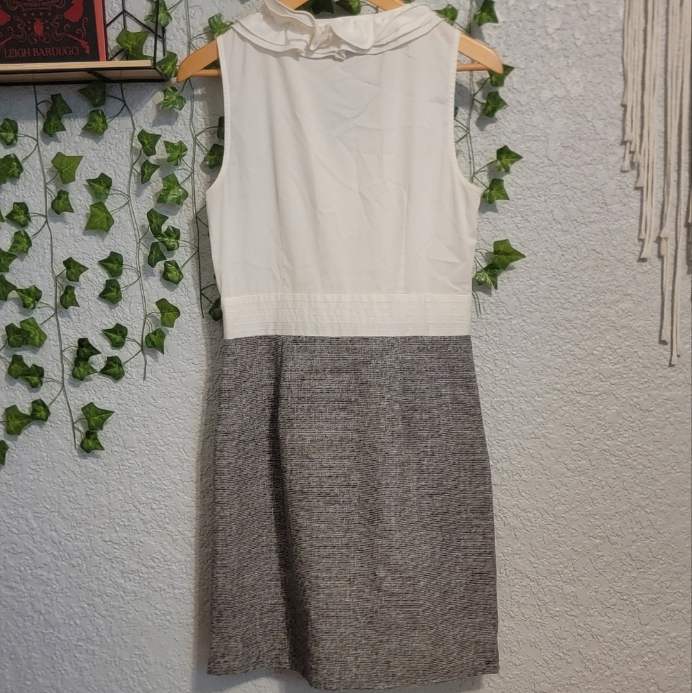 Dress - Picture 6 of 6